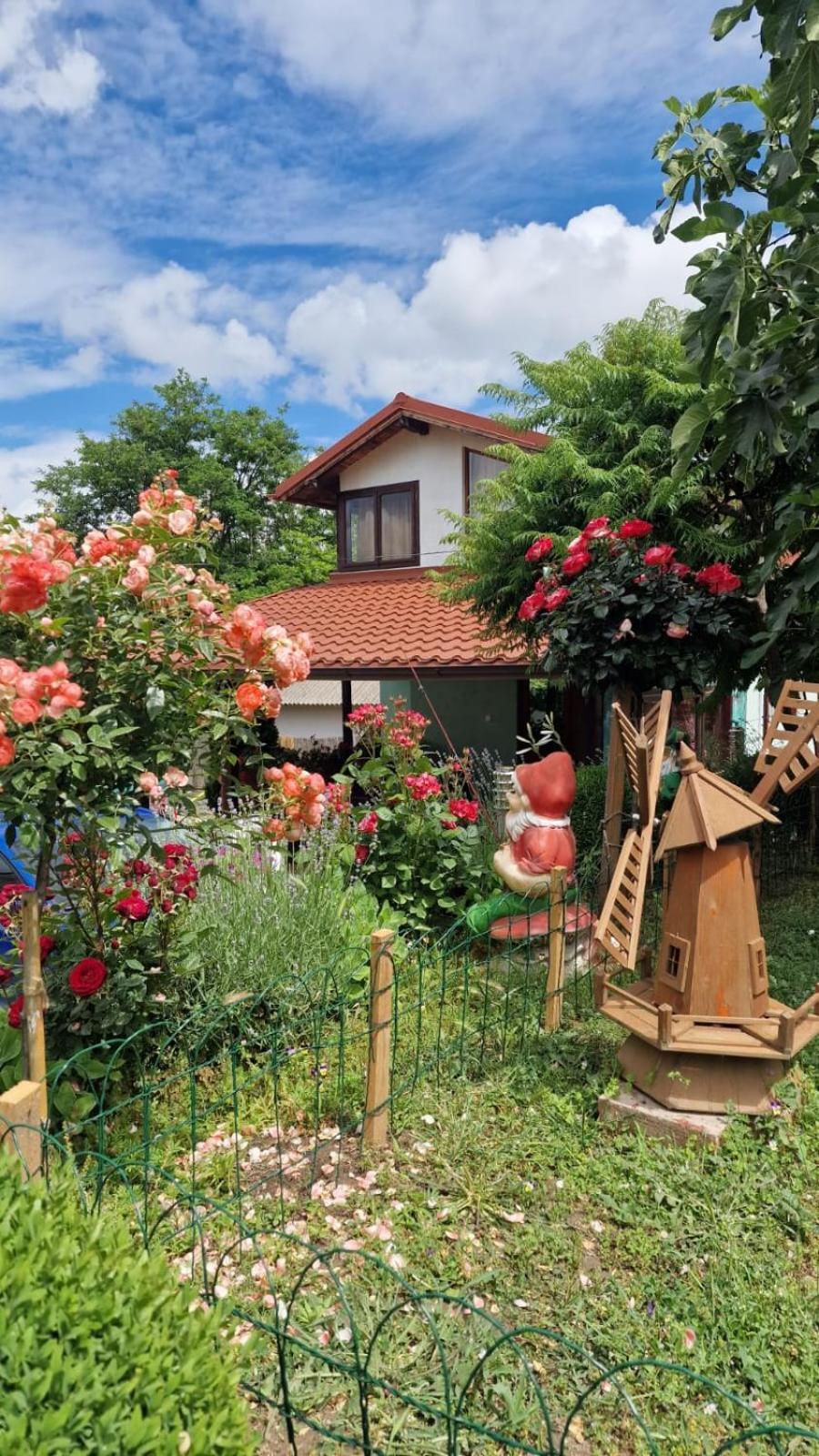 Отель Casa Adi Si Maria Махмудия Экстерьер фото